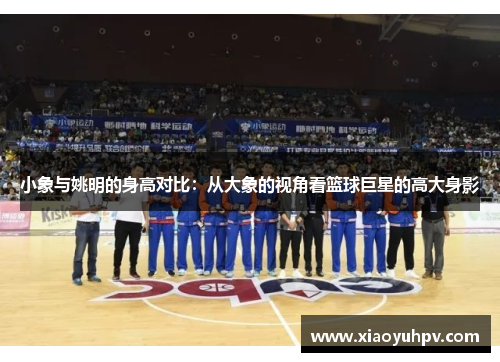 小象与姚明的身高对比：从大象的视角看篮球巨星的高大身影