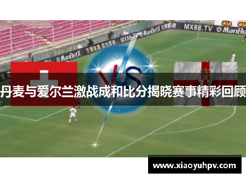 丹麦与爱尔兰激战成和比分揭晓赛事精彩回顾